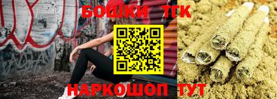 мдпв Будённовск